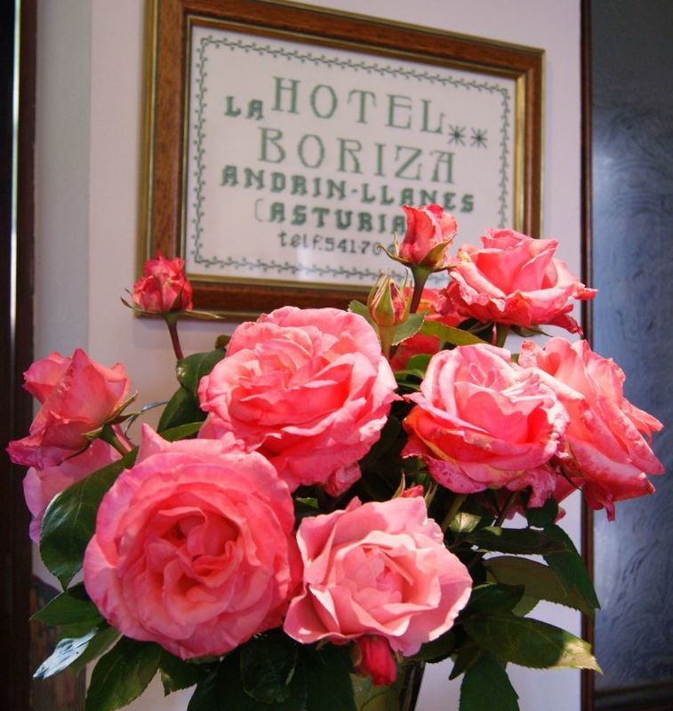 Hotel La Boriza Llanes Zewnętrze zdjęcie
